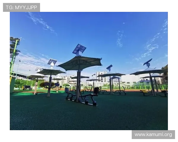 万博app体育：多样化的体育项目覆盖满足不同用户的多元需求