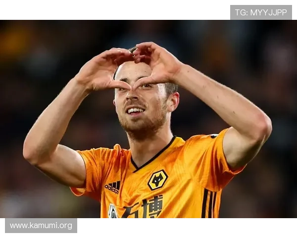 万博狼队历史回顾与未来发展规划，足球迷必读的精彩内容