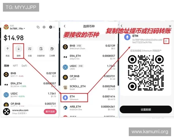 万博平台下载官网安全下载指南与常见问题快速解决方案