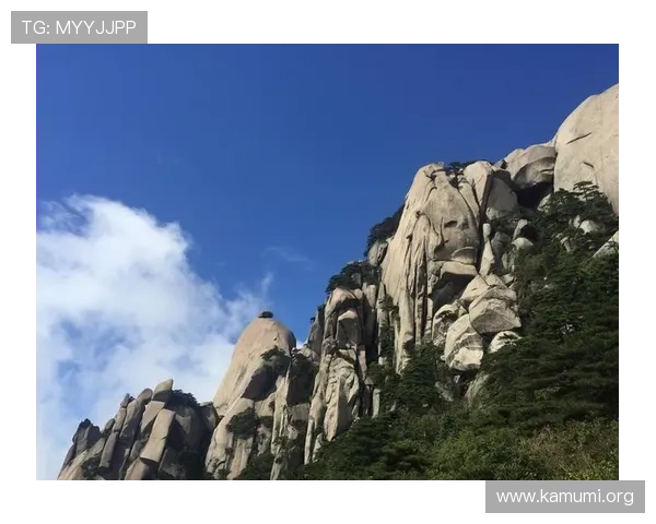 关于manbetx官网地址的详细介绍与登录入口更新信息，确保用户顺畅体验